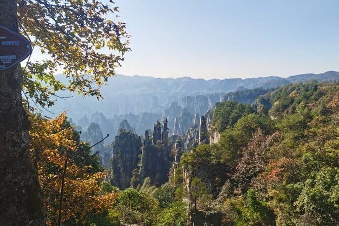 1 Day Avatar Mountain & Fores Park Group Tour with VIP Access - Why Zhangjiajie rewards a tightly planned day