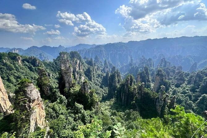 1 Day Avatar Mountain & Fores Park Group Tour with VIP Access - Walking the Ten-Mile Gallery