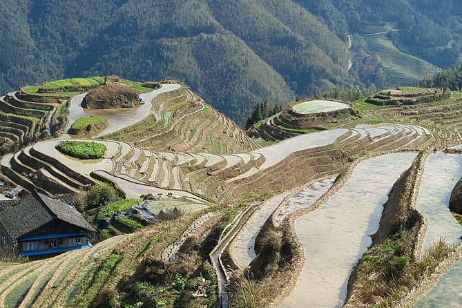 1-Day Longji Terrace Fields-Pingan village Tour with the English Speaking Driver - What the English-speaking driver adds