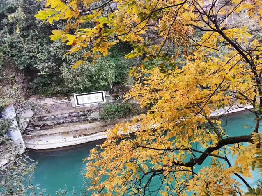 1-Day Mount Qingcheng and Dujiangyan Irrigation System Tour - Key points to know before booking