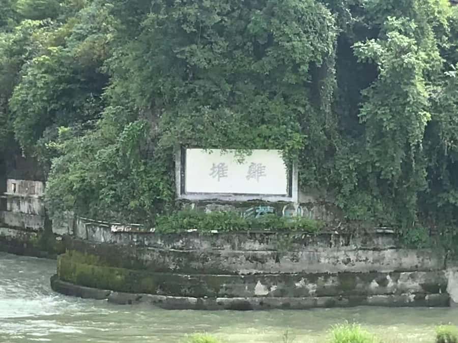 1-Day Mount Qingcheng and Dujiangyan Irrigation System Tour - Gondola queues can reshape your morning