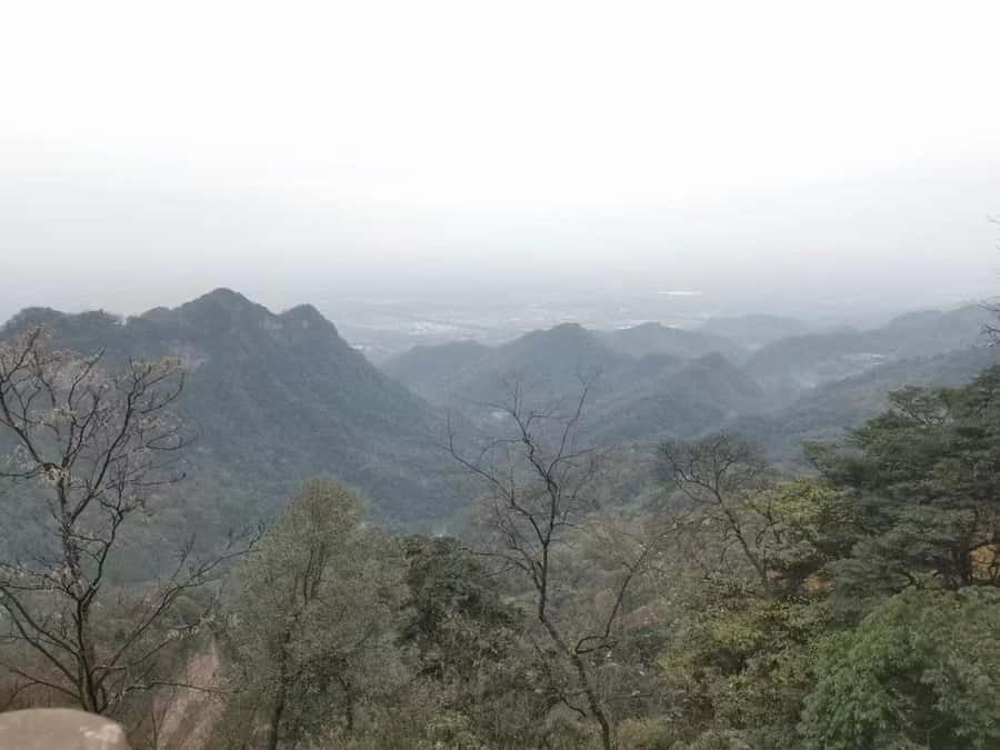 1-Day Mount Qingcheng and Dujiangyan Irrigation System Tour - Mount Qingcheng, where Taoist tradition meets cool mountain air