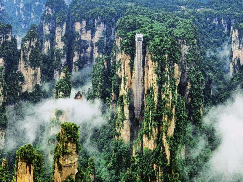 1-Day Private Tour to Zhangjiajie Highlights - Plants, birds, and wildlife along the route