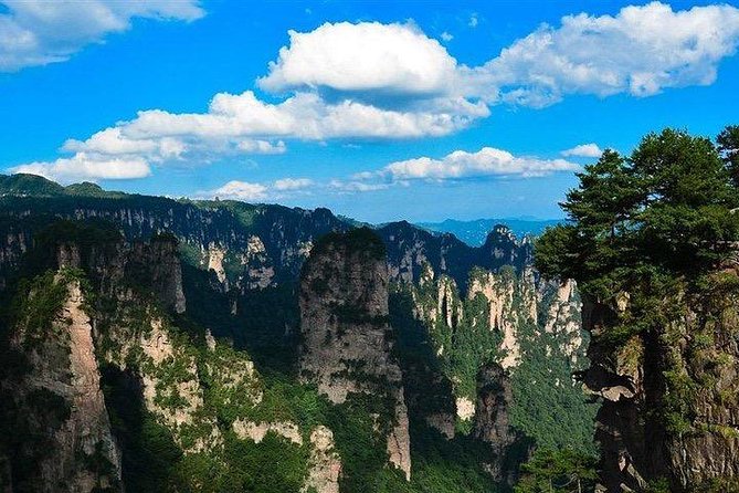 1-Day Private Tour to ZJJ Forest Park with Off the Beaten Tracks - Private Flexibility, With a Full Schedule