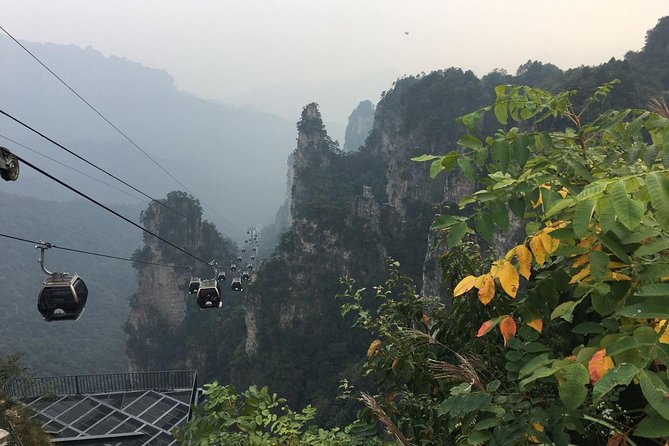 1-Day Private Tour to ZJJ National Forest Park & Avatar Mountain - Timing, transport, and what the $95 really buys