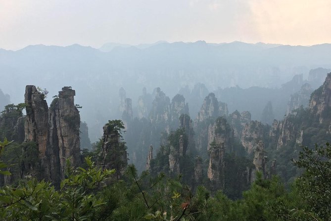 1-Day Private Tour to ZJJ National Forest Park & Avatar Mountain - Walking, weather, and the practical side