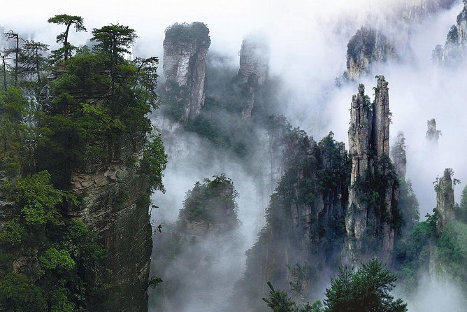 1-Day Private Tour to ZJJ National Forest Park & Avatar Mountain - The Bailong Elevator: fast transport and a dramatic ride