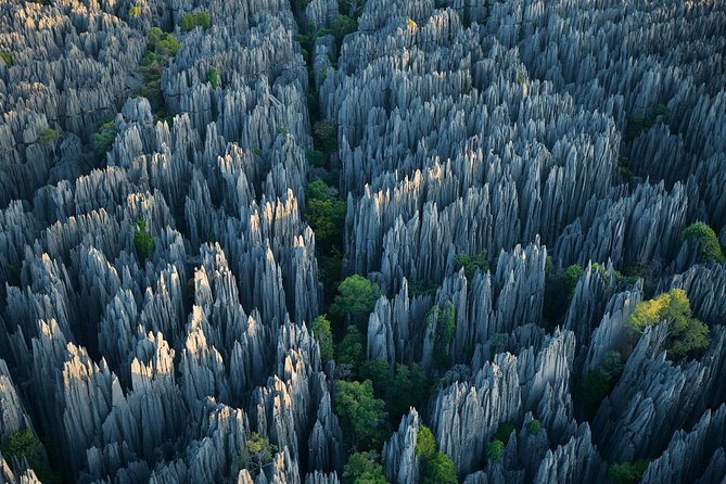 1 Day Stone Forest & Jiuxiang Cave Tour - Key points to know before booking