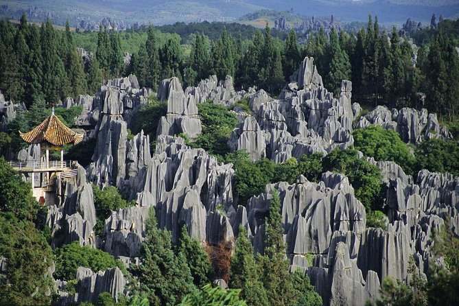1 Day Stone Forest & Jiuxiang Cave Tour - Entering the Jiuxiang cave system