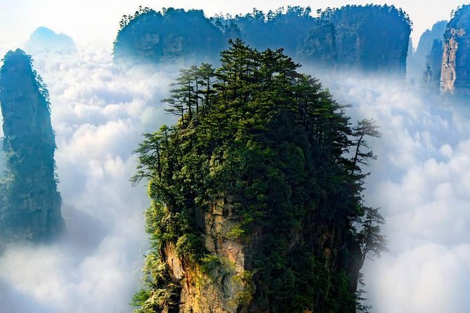 1 "Pandora" Day Trip-Zhangjiajie National Park(Avatar Mountain Scenery) - Key Points to Know Before Booking