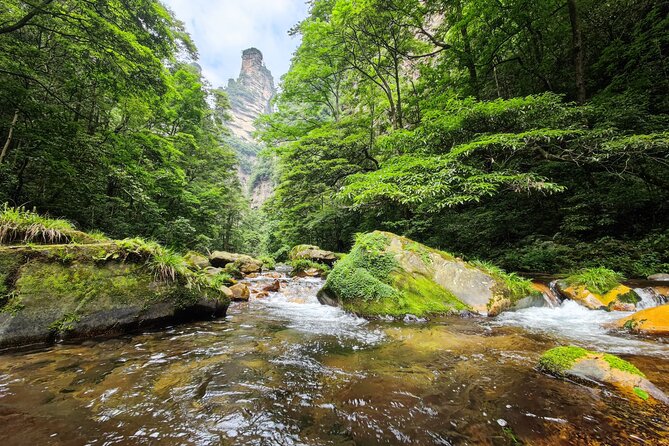 1 "Pandora" Day Trip-Zhangjiajie National Park(Avatar Mountain Scenery) - Why Zhangjiajie Looks Like Another Planet