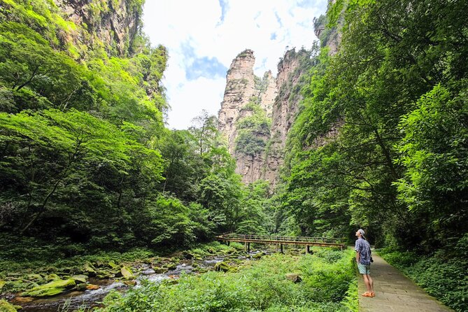 1 "Pandora" Day Trip-Zhangjiajie National Park(Avatar Mountain Scenery) - Riding the 326-Meter Bailong Elevator