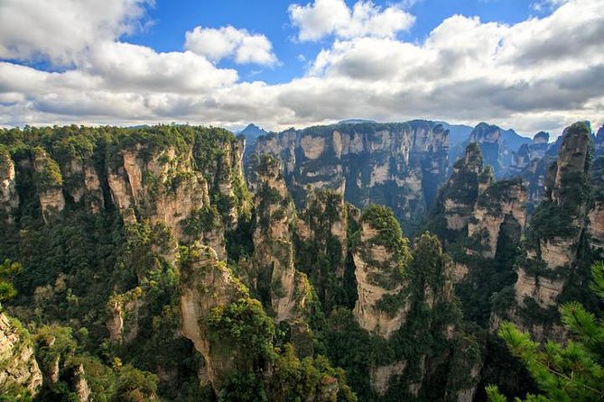 1 "Pandora" Day Trip-Zhangjiajie National Park(Avatar Mountain Scenery) - What the $114 Price Really Covers