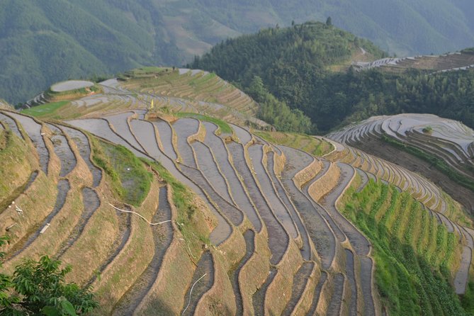 2 Day Guilin Highlights Li River Cruise and Longji Terraces Tour - Day Two: Four Hours on the Li River