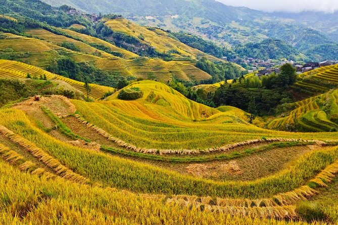 2 Day Guilin Highlights Li River Cruise and Longji Terraces Tour - Timing, Pickup, and Practical Details