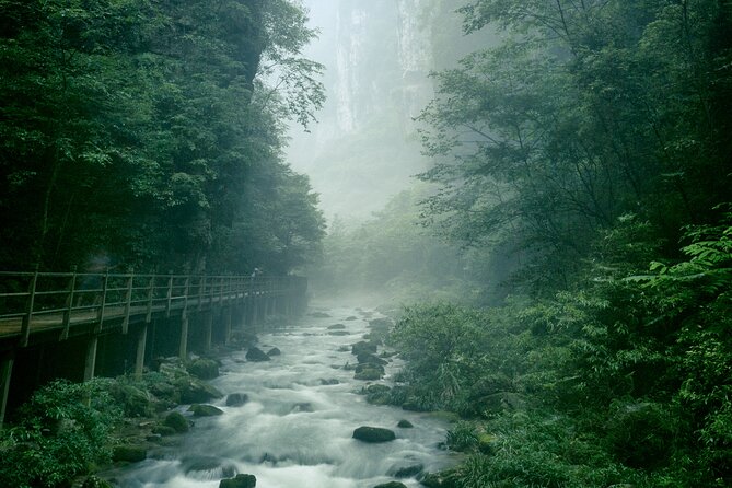 2 Full Days Zhangjiajie National Forest Park & Glass Bridge Tour - Golden Whip Brook: the forest-level change of pace