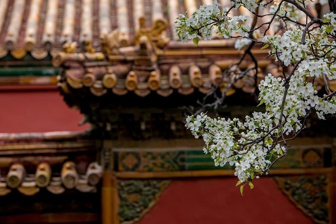 3-Day Private Beijing Tour with Forbidden City, Great Wall, Hutong and Lunch - The Summer Palace closes the trip with water and open space