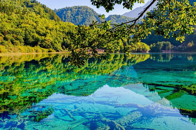 3 Day Private Tour to Jiuzhai Valley and Huanglong - Day 1: pandas first, then the road to Jiuzhaigou