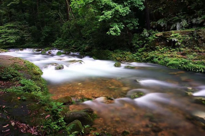 3-Day Private Zhangjiajie In-depth Exploring Tour - Who should book this Zhangjiajie tour?