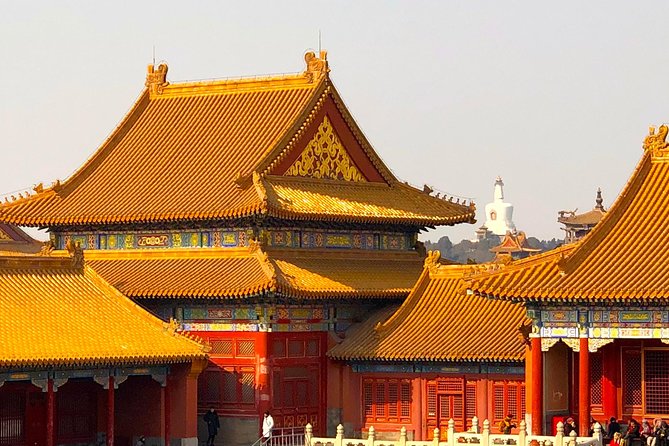3-Hour Private Tour: Amazing Beijing City Highlights - A quieter finish in the Imperial Garden
