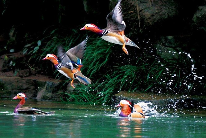 4-Day Zhangjiajie Tour to All Highlight Attractions with VIP Lift - Who should book this Zhangjiajie tour