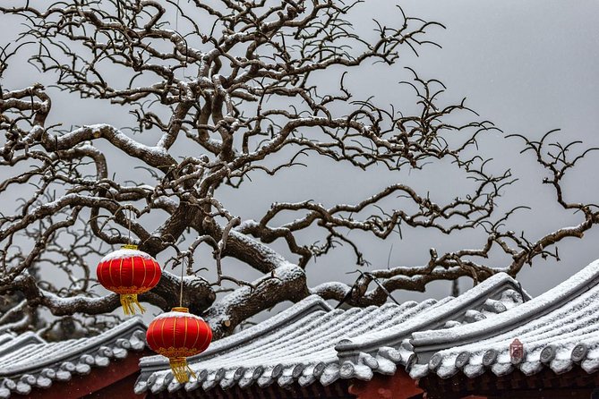 4-Hour Private Forbidden City Walking Tour with Bird's ViewOption - A practical look at the four to five hours