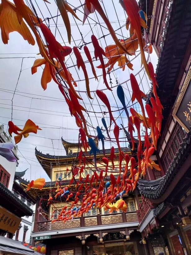 4-Hour Private Shanghai Shopping Tour with Local Expert - Other shopping stops based on what you want