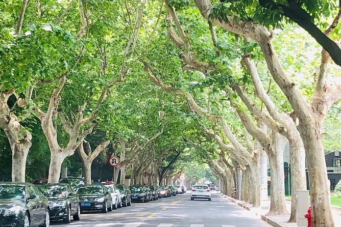 4-Hour Private Shanghai Walking Tour of Former French Concession - Sinan Mansions and the Nongtang Neighborhood