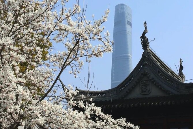 4-Hr Shanghai Layover Tour: Maglev, Wet Market, Food, Landmarks - The Bund: one hour beside the Huangpu River