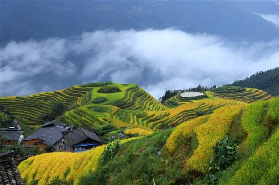 6-Day Private Tour: Guilin Terraces, Fenghuang & Zhangjiajie - Key points to know before booking