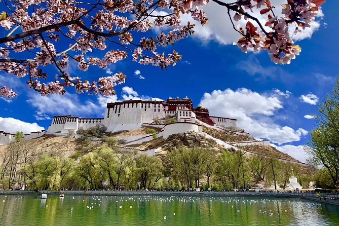 6 Days Central Tibet Culture Small Group Tour - Day one in Lhasa: rest is part of the tour