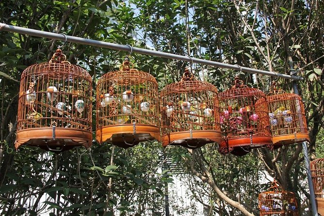 6-Hour Private Beijing Tour: Flower and Fish Market, Panjiayuan Antique Market and 798 Art Zone - Why this tour shows a different Beijing