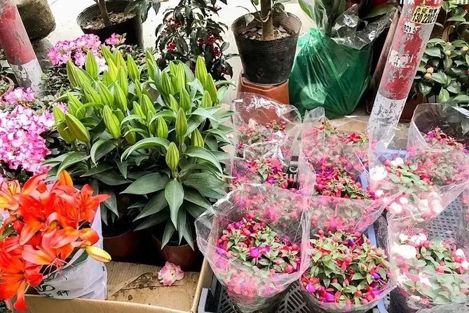 6-Hour Private Beijing Tour: Flower and Fish Market, Panjiayuan Antique Market and 798 Art Zone - Transport, group size, and practical comfort