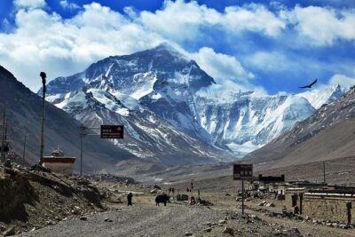 8 Days Lhasa Gyantse Shigatse Mt Everest Group Tour