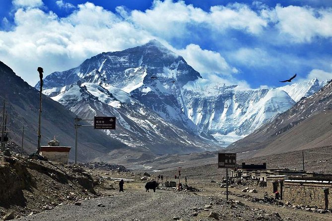 8 Days Lhasa Gyantse Shigatse Mt Everest Group Tour - Yamdrok Lake, Karo La Glacier, and Gyantse