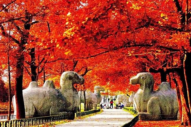 All Inclusive Nanjing City Private Day Tour with Tailor-Made Highlights - Purple Mountain and Sun Yat-sen’s Mausoleum