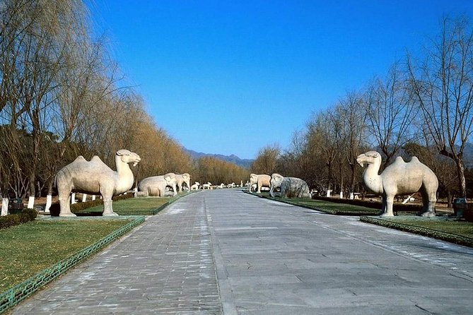 All Inclusive Private Tour to Mutianyu Great Wall and Ming Tombs - Should you book the Mutianyu and Ming Tombs tour?