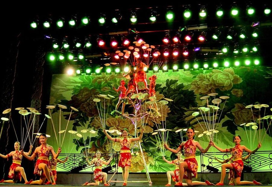 Beijing: Acrobatic Show with Peking Duck Dinner Private Tour - Should you book this Beijing acrobatics and duck tour?