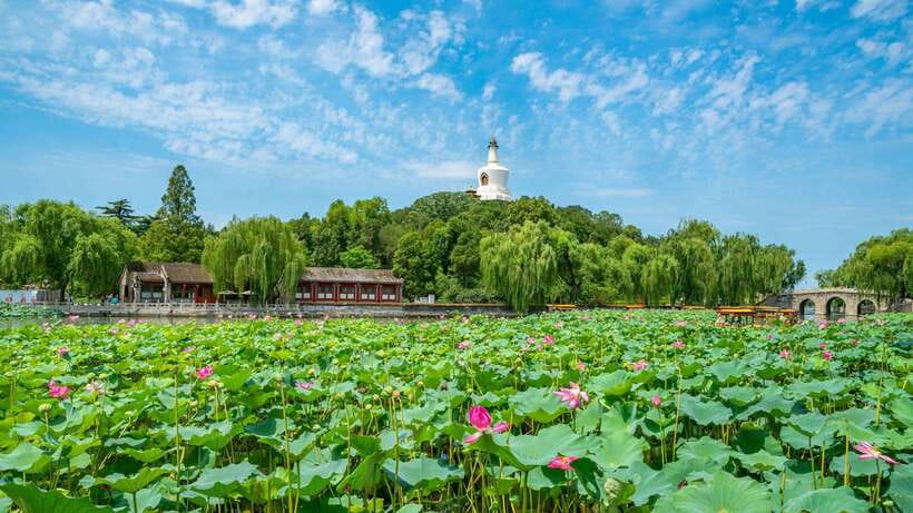 Beijing: Beihai Park Entry Ticket & English PDF Guidebook - Getting your QR ticket and entering the park