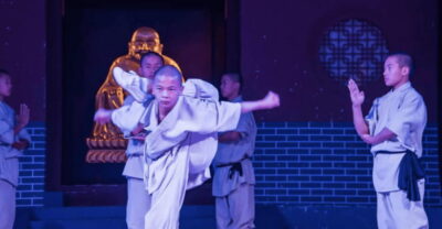 Bullet Train Day Tour to Shaolin Temple&Martial Arts