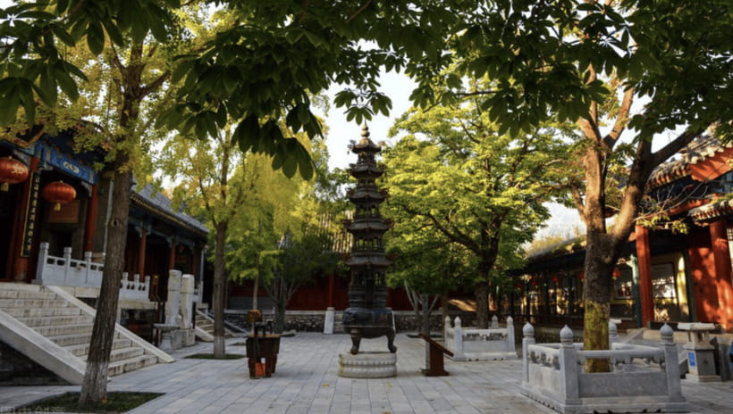 Beijing:Bullet Train Day Tour to Shaolin Temple&Martial Arts - Meeting your guide in Zhengzhou