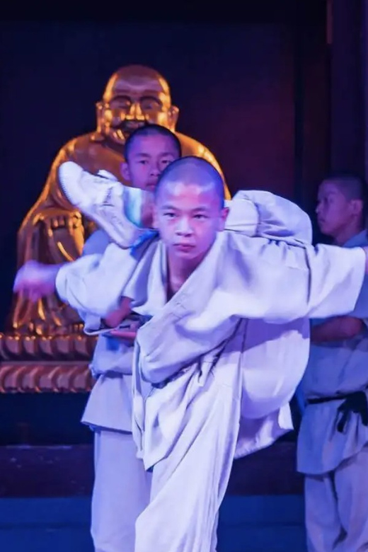 Beijing:Bullet Train Day Tour to Shaolin Temple&Martial Arts - The return to Beijing and the value of $348