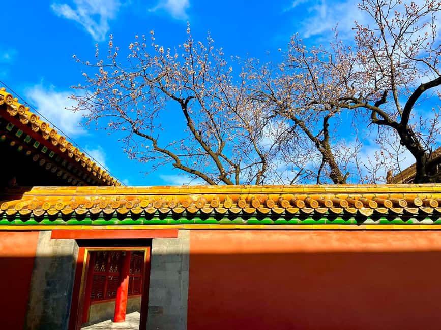 Beijing:Forbidden City--Reveal Secrets Behind Red Walls - What the price means for your Beijing day