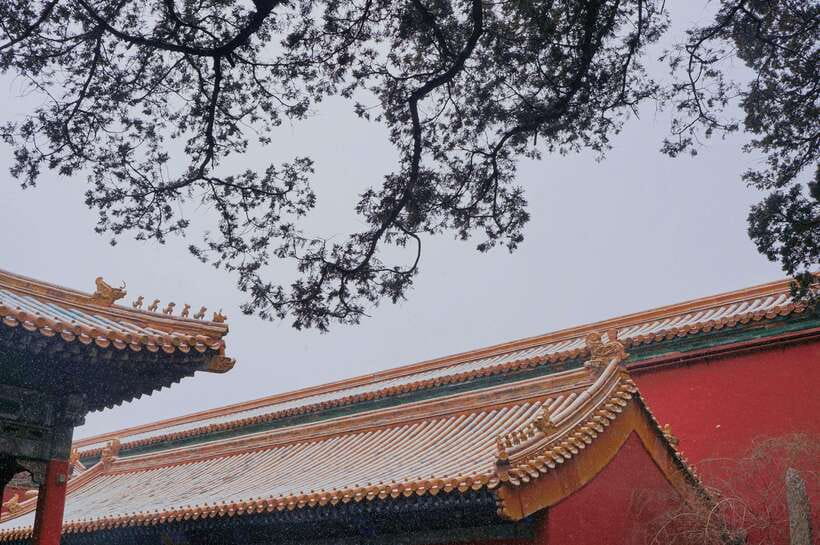 Beijing:Forbidden City & Tian'anmen Square with entry ticket - Small groups, flexible timing, and what they really mean
