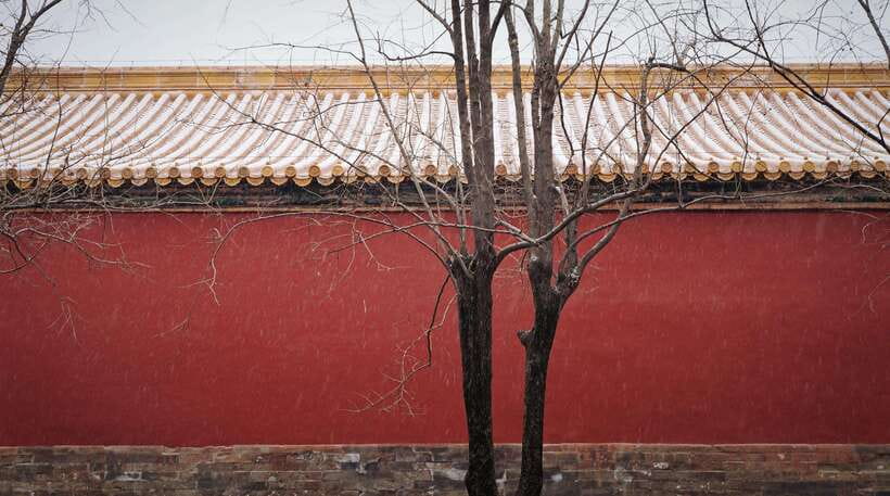 Beijing:Forbidden City & Tian'anmen Square with entry ticket - Practical details that can make or break the day