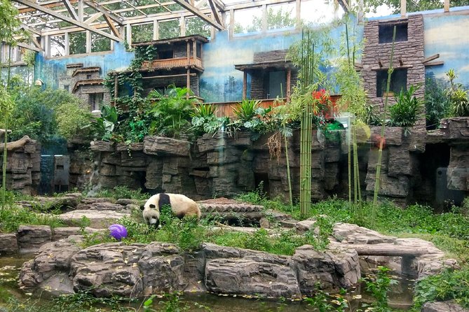 Beijing Half-Day Private Customized Tour: Visit Your Dream Spots - A private Beijing tour built around your priorities