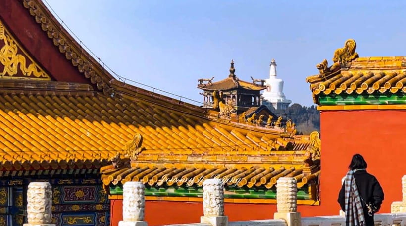Beijing: Highlights of Forbidden City Private Walking Tour - Adding the Temple of Heaven