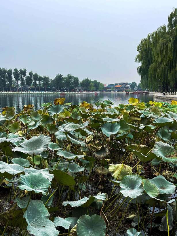 Beijing: Hutongs & Drum Tower City Walking Tour - Yandai Byway and local snacks