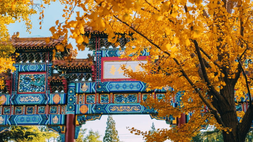 Beijing: Lama Temple (Yonghe Temple) Admission Ticket - Timing, entry, and a sensible visit plan