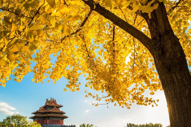 Beijing Layover Tour to Tiananmen Square and Forbidden City - Booking and Cancellation Details